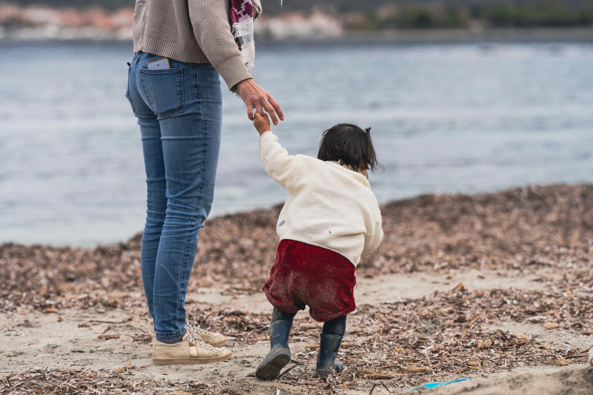 Florida Adoption Laws: What You Need to Know Before Adopting a Baby