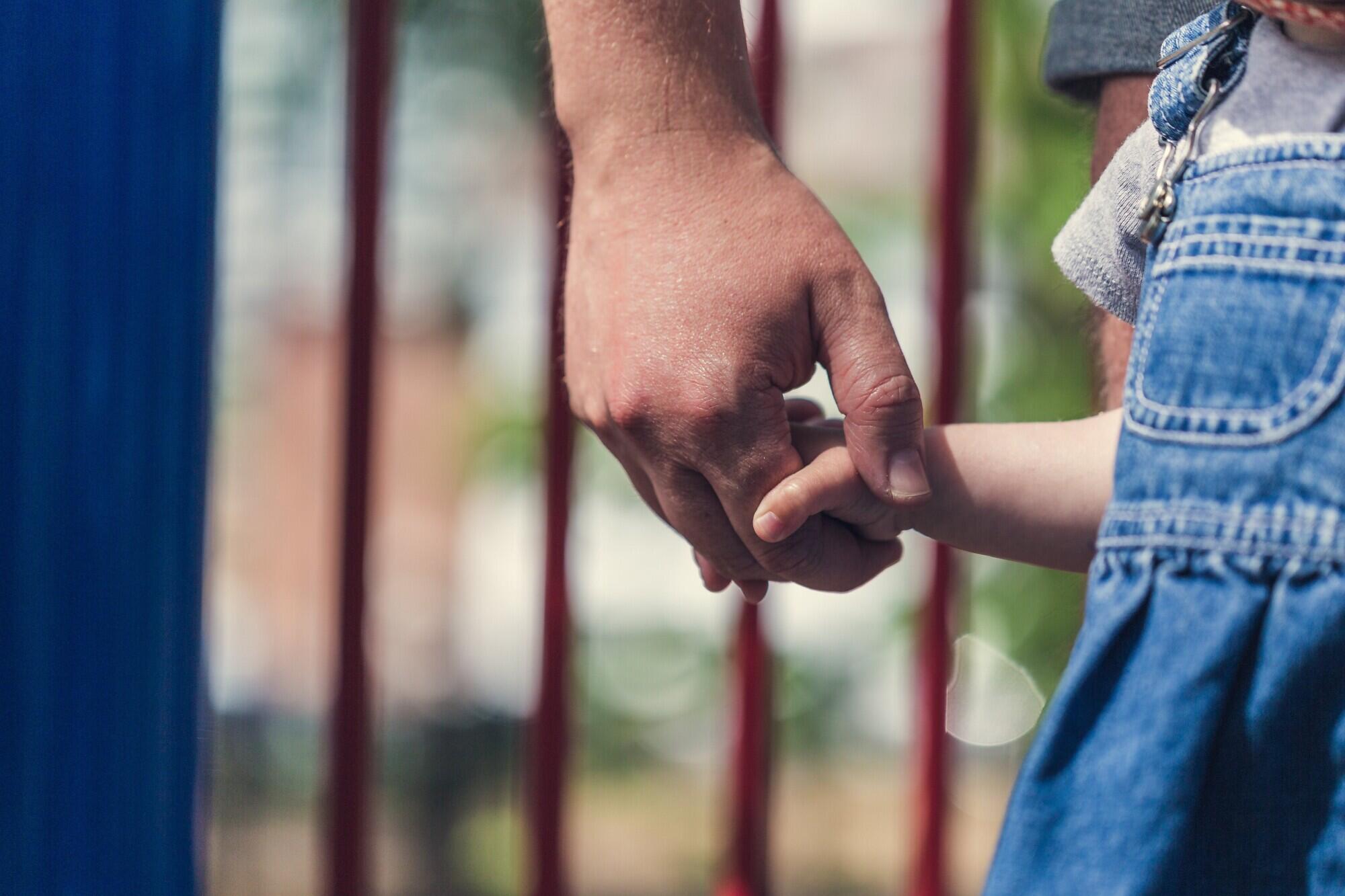How to Prepare for the Emotional Journey of Adopting in Florida